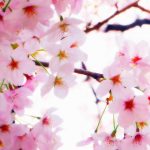 チューターの独り言